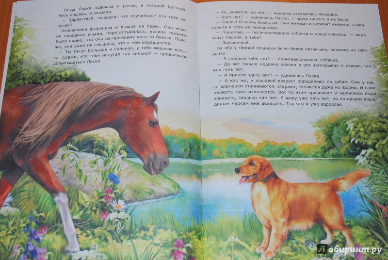 Иллюстрация 3 из 6 для Ласка и Звездочка - Лариса Тарасенко | Лабиринт - книги. Источник: Нади