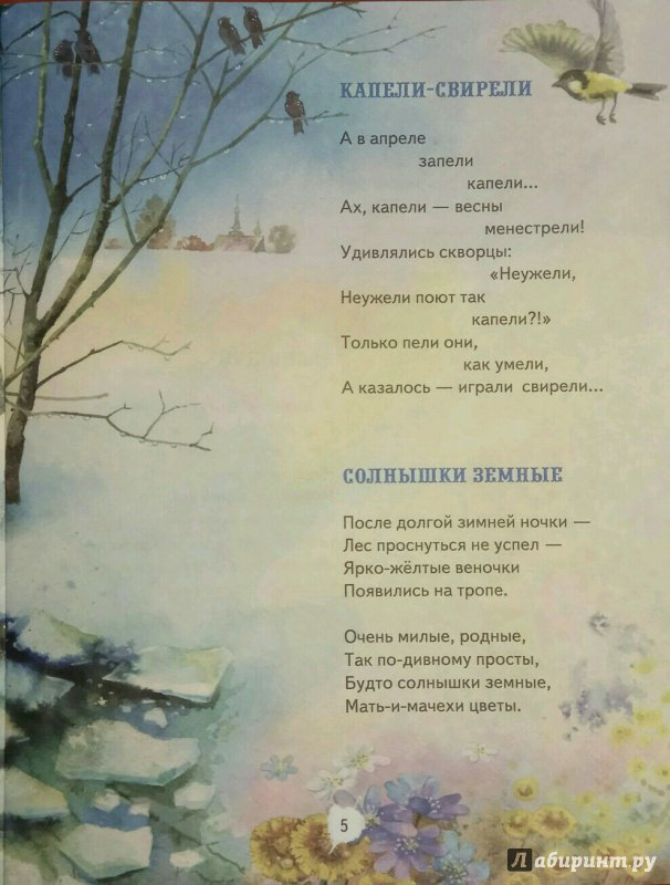 Иллюстрация 4 из 15 для Зеленая карета - Валерий Кастрючин | Лабиринт - книги. Источник: Ракова  Ирина