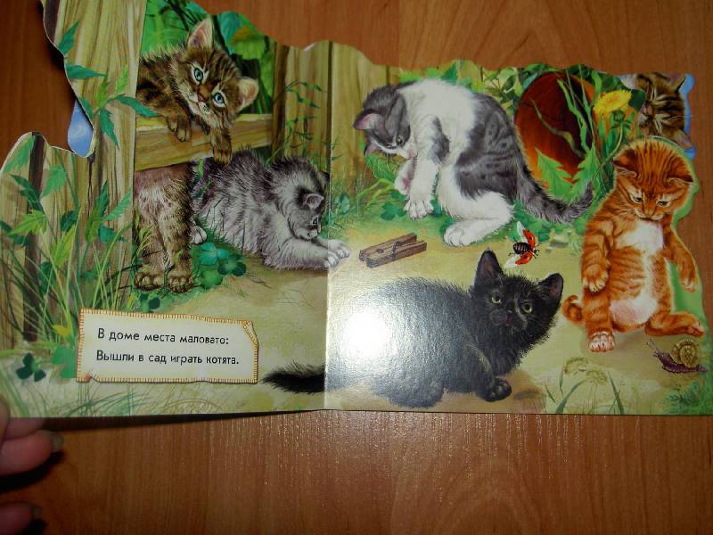 Иллюстрация 4 из 5 для Кошка и котята - Ринат Курмашев | Лабиринт - книги. Источник: hellgirl