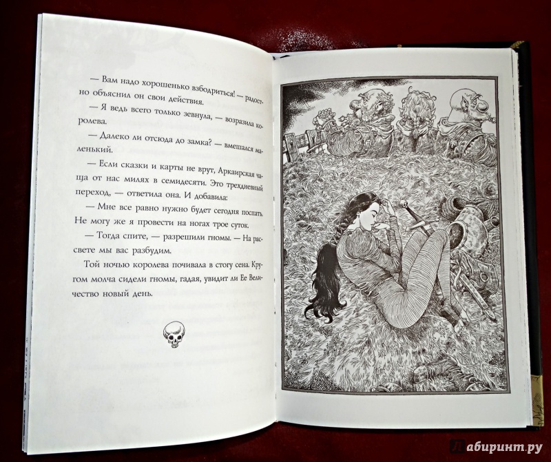 Иллюстрация 16 из 58 для Дева и веретено - Нил Гейман | Лабиринт - книги. Источник: nata_romina
