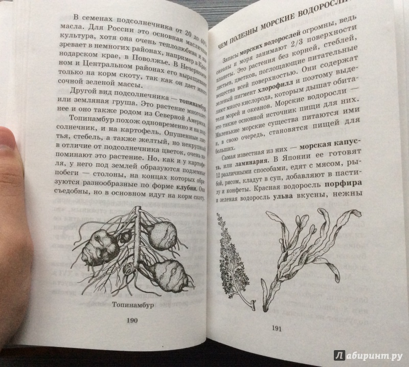 Иллюстрация 8 из 14 для Все о динозаврах, современных животных и растениях - Целлариус, Ляхов, Багрова | Лабиринт - книги. Источник: Konstantin_Ostrovskey