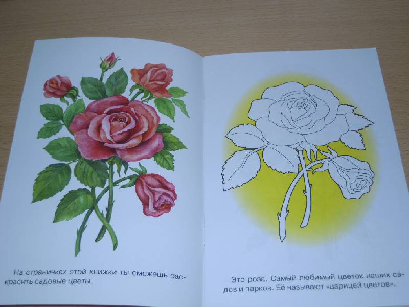 Иллюстрация 12 из 17 для Раскраска. Садовые цветы | Лабиринт - книги. Источник: Iwolga
