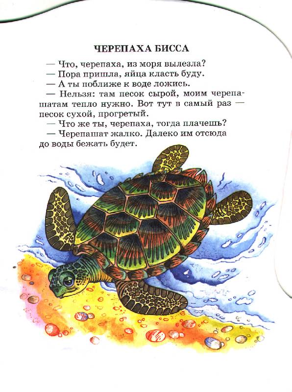 Иллюстрация 1 из 3 для В теплом море - Святослав Сахарнов | Лабиринт - книги. Источник: OOlga