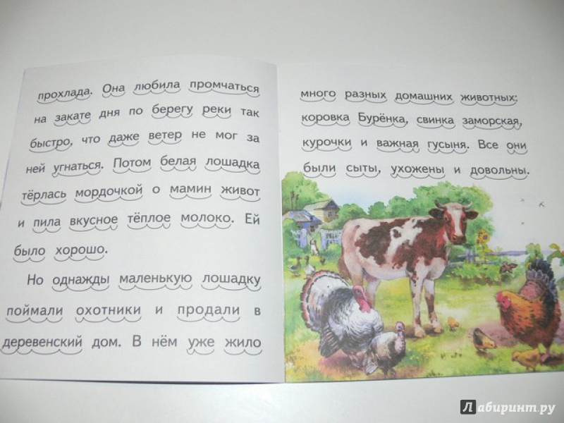Иллюстрация 11 из 16 для Про белую лошадку - Елена Ермолова | Лабиринт - книги. Источник: Irbis