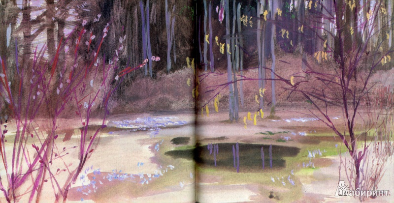 Иллюстрация 14 из 144 для Сказки - Константин Паустовский | Лабиринт - книги. Источник: Yayoi