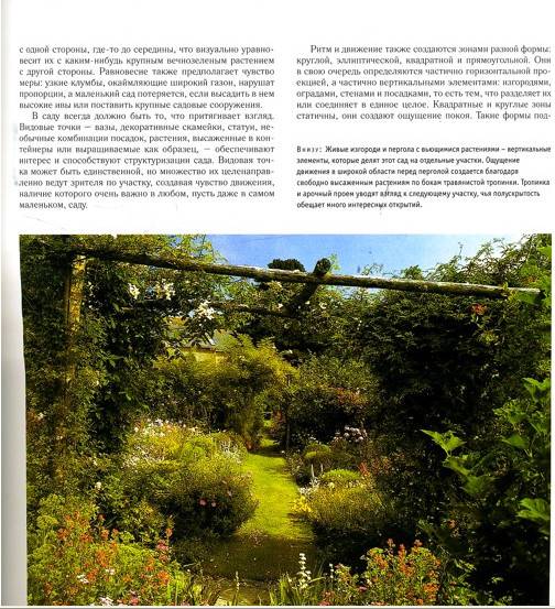 Иллюстрация 7 из 8 для Дизайн вашего сада - Робин Уильямс | Лабиринт - книги. Источник: Золотая рыбка