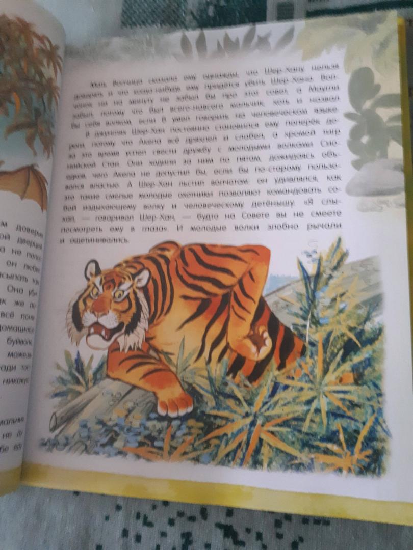 Иллюстрация 89 из 97 для Маугли - Редьярд Киплинг | Лабиринт - книги. Источник: Лабиринт