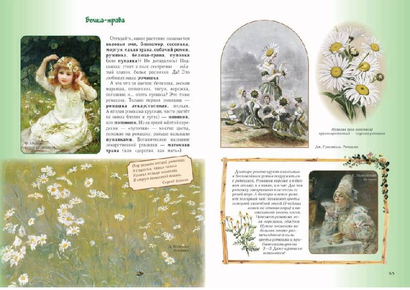 Иллюстрация 36 из 36 для Детский травник - Ольга Колпакова | Лабиринт - книги. Источник: knigoved