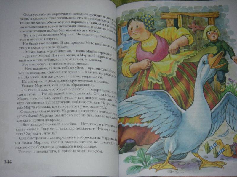 Иллюстрация 38 из 61 для Чудесное путешествие Нильса с дикими гусями - Сельма Лагерлеф | Лабиринт - книги. Источник: Ромашка:-)