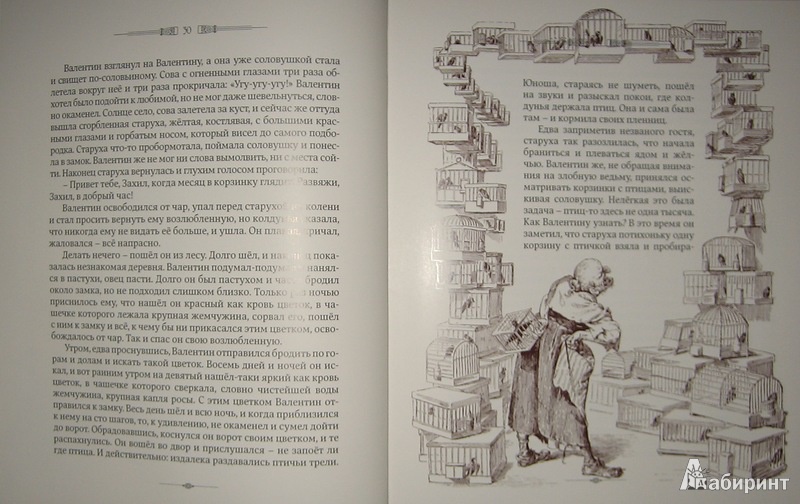 Иллюстрация 21 из 47 для Сказки Деда Всеведа | Лабиринт - книги. Источник: Трухина Ирина