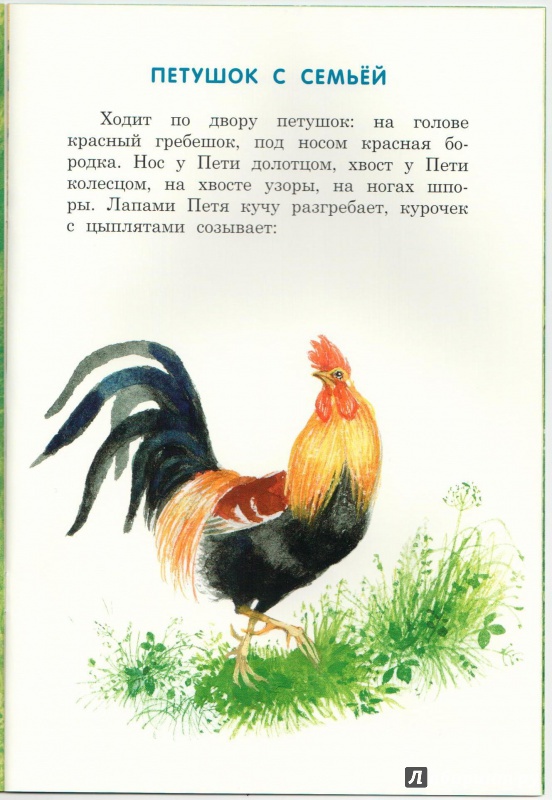 Иллюстрация 32 из 46 для Бишка - Константин Ушинский | Лабиринт - книги. Источник: Книжный кот