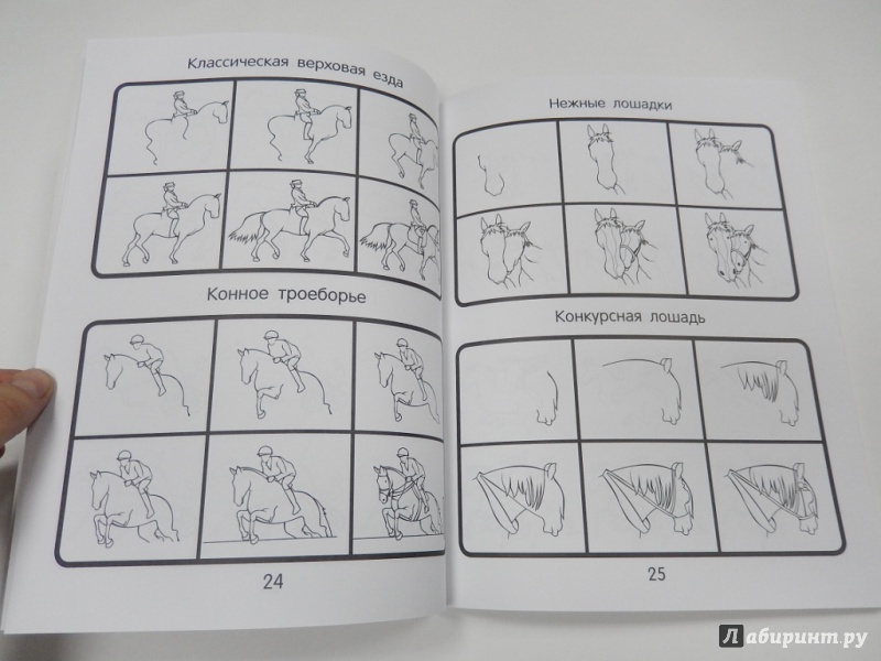 Иллюстрация 10 из 10 для 101 способ нарисовать лошадку! | Лабиринт - книги. Источник: dbyyb