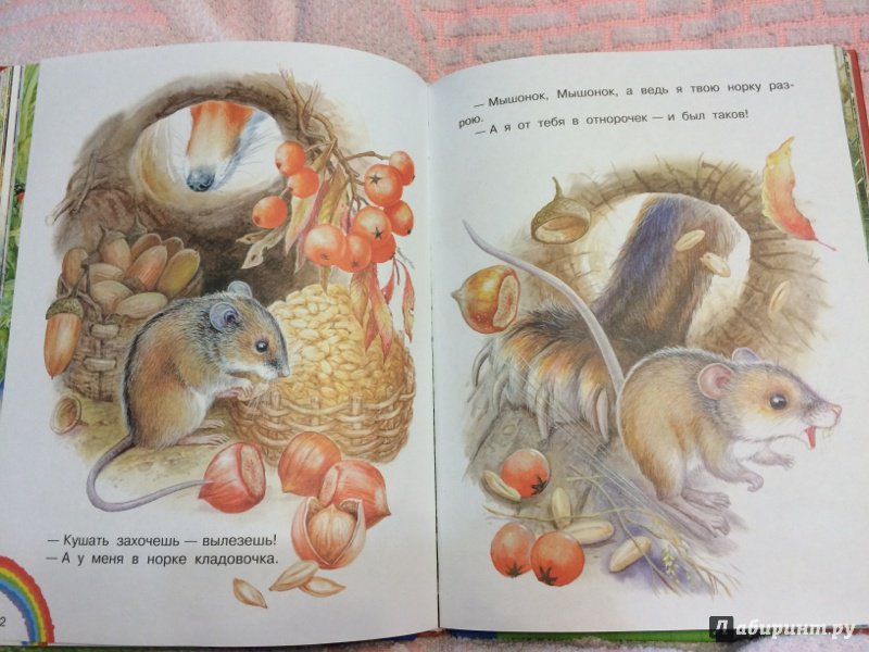 Серая мышь читать полностью. Книжка про мышку в норке. Сказка про мышонка и лису. Иллюстрации к сказке Лис и мышонок Бианки.
