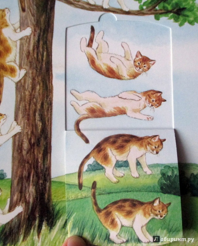 Иллюстрация 10 из 32 для Кошки - Патрисия Меннен | Лабиринт - книги. Источник: Etaine