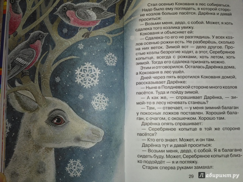 Иллюстрация 10 из 47 для Серебряное копытце. Сказки - Павел Бажов | Лабиринт - книги. Источник: VikS
