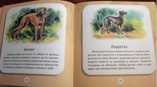 Иллюстрация 12 из 24 для Про собак и кошек - Александр Тихонов | Лабиринт - книги. Источник: semul