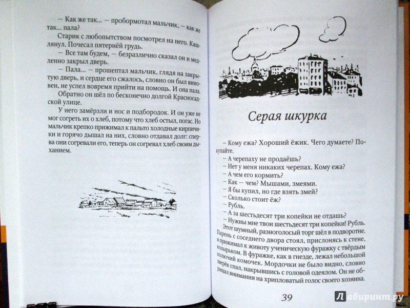 Иллюстрация 10 из 26 для Серая шкурка - Юрий Яковлев | Лабиринт - книги. Источник: Зеленая шляпа