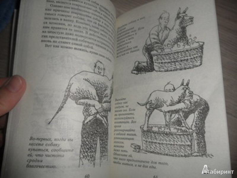 Иллюстрация 8 из 20 для Как жить с собакой-невротиком - Стивен Бейкер | Лабиринт - книги. Источник: юлия д.
