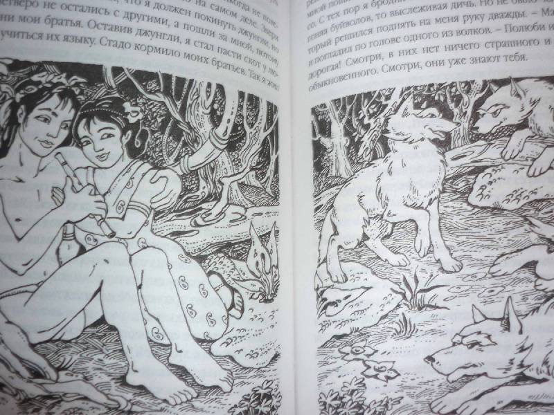 Иллюстрация 10 из 17 для Маугли - Редьярд Киплинг | Лабиринт - книги. Источник: Наталка _Наталка