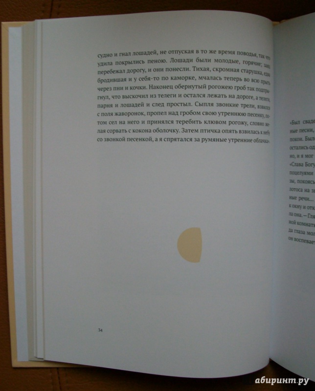 Иллюстрация 13 из 30 для Лунные картинки (Картинки-невидимки) - Ханс Андерсен | Лабиринт - книги. Источник: KVK