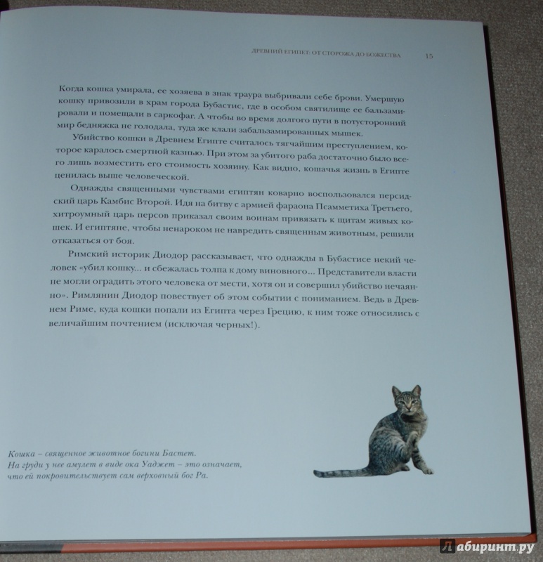 Иллюстрация 7 из 30 для Кошкин дом в Эрмитаже - Голь, Халтунен | Лабиринт - книги. Источник: Книжный кот