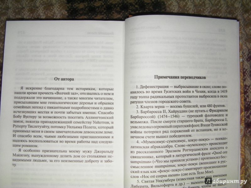 Иллюстрация 10 из 16 для Внесите тела - Хилари Мантел | Лабиринт - книги. Источник: very_nadegata