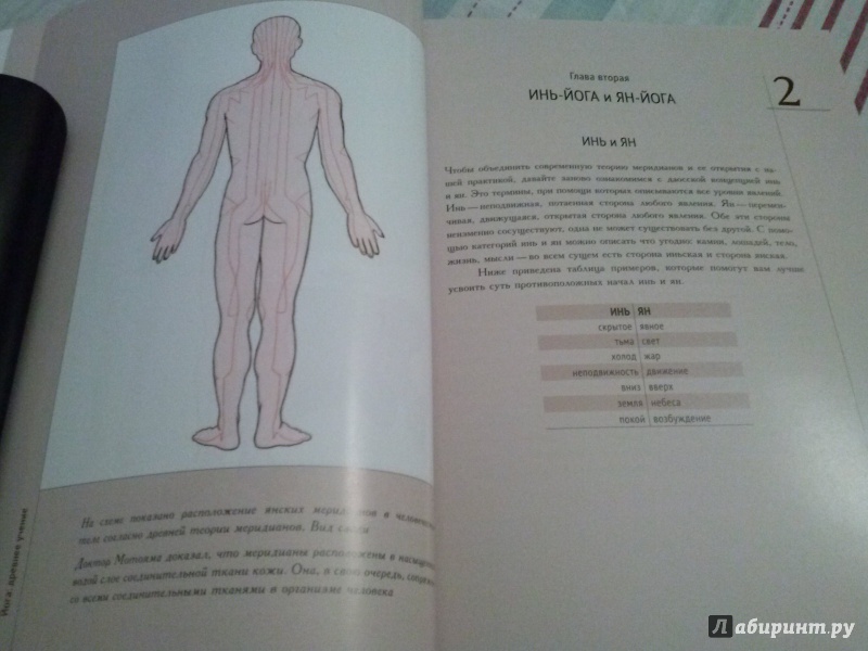 Иллюстрация 18 из 23 для Инь-йога. Теория и практика - Пол Грилли | Лабиринт - книги. Источник: Анна