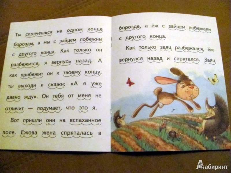 Иллюстрация 5 из 31 для Ёж и заяц - Лев Толстой | Лабиринт - книги. Источник: Oho  Oho