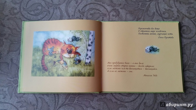 Иллюстрация 6 из 25 для Про мурчалок и царапок - Виктория Кирдий | Лабиринт - книги. Источник: Юлия