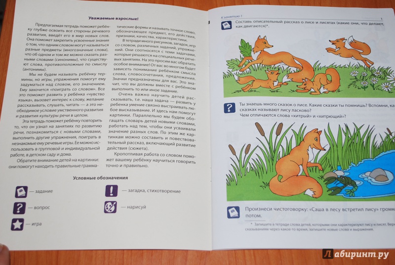 Иллюстрация 12 из 26 для Рабочая тетрадь по развитию речи для детей 5-6 лет. ФГОС ДО - Оксана Ушакова | Лабиринт - книги. Источник: Нади