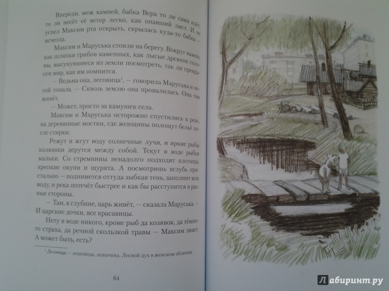 Иллюстрация 40 из 47 для Что у Сеньки было - Радий Погодин | Лабиринт - книги. Источник: Olga