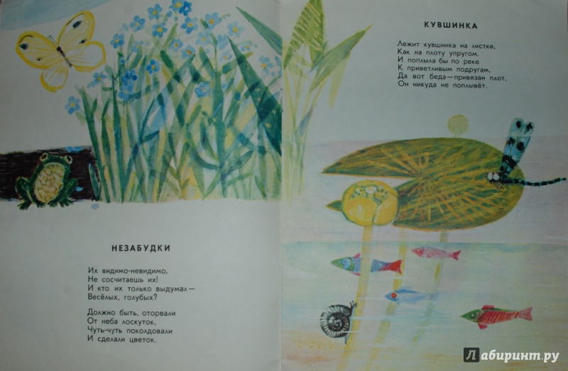 Иллюстрация 27 из 65 для Чудаки - Екатерина Серова | Лабиринт - книги. Источник: Книжный кот