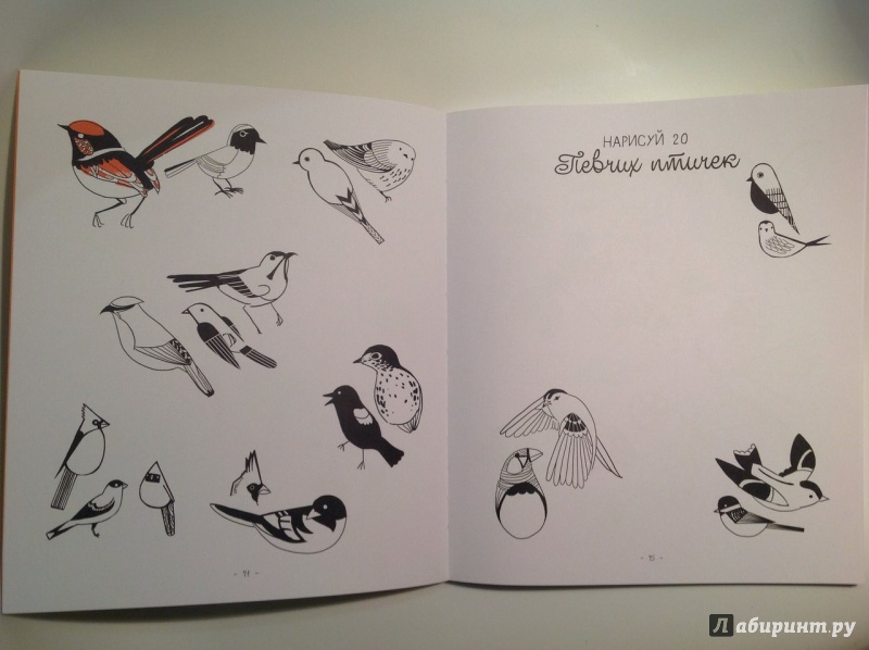 Иллюстрация 30 из 31 для 20 способов нарисовать кошку и 44 других удивительных животных - Джулия Куо | Лабиринт - книги. Источник: Сан Санна
