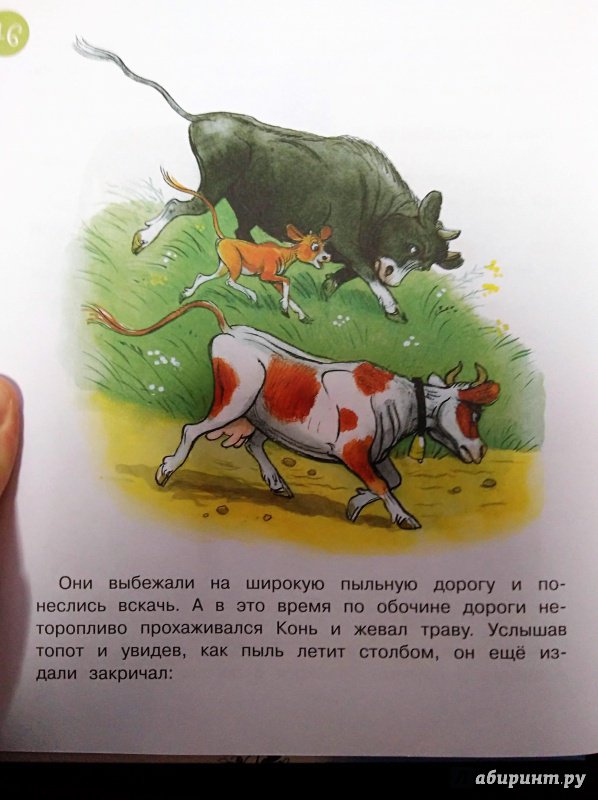 Иллюстрация 24 из 40 для Сказки о животных - Кипнис, Мурадян, Юсупов | Лабиринт - книги. Источник: Савчук Ирина