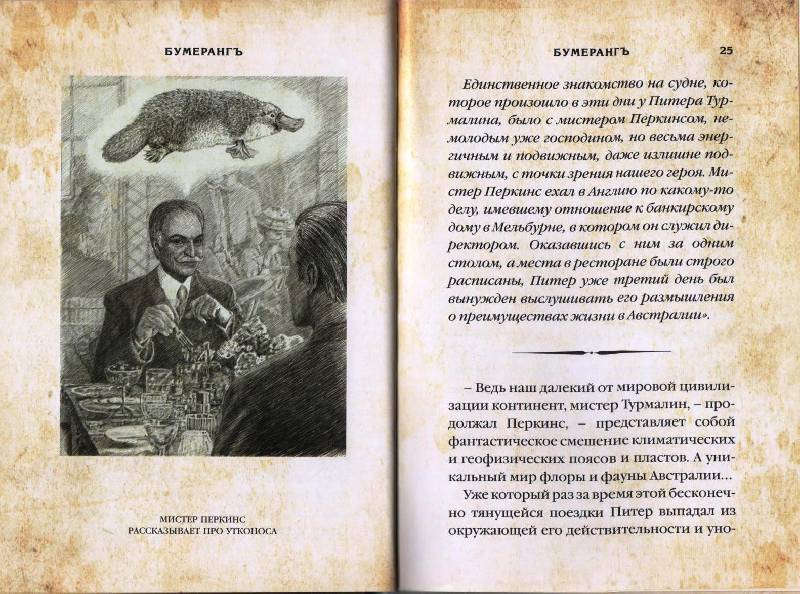 Иллюстрация 11 из 21 для Бумерангъ - Дмитрий Крылов | Лабиринт - книги. Источник: Zhanna