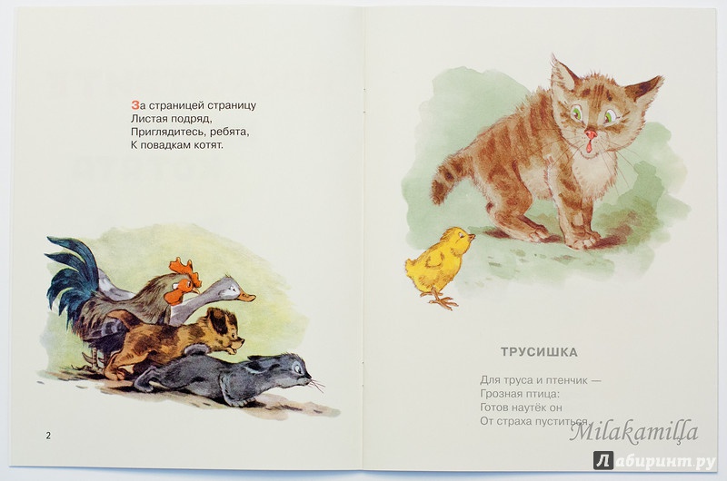 Иллюстрация 36 из 64 для Посмотрите какие котята - Владимир Матвеев | Лабиринт - книги. Источник: Букландия