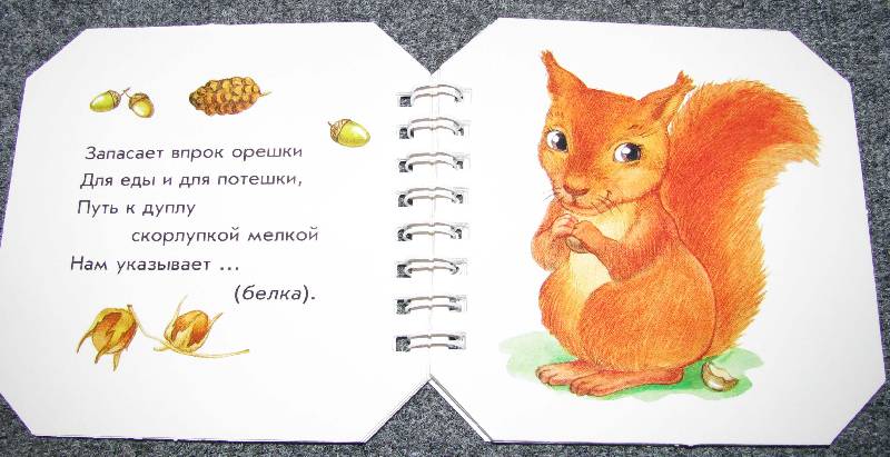 Иллюстрация 5 из 13 для Кто в лесу живет - А. Геращенко | Лабиринт - книги. Источник: Апельсинка