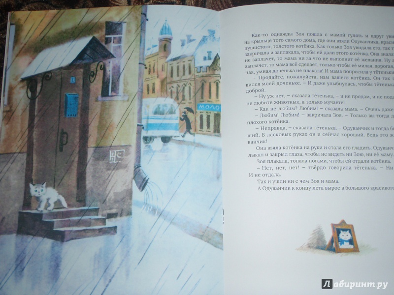 Иллюстрация 10 из 22 для Про хорошего котенка - Сергей Воронин | Лабиринт - книги. Источник: солнечная поганка