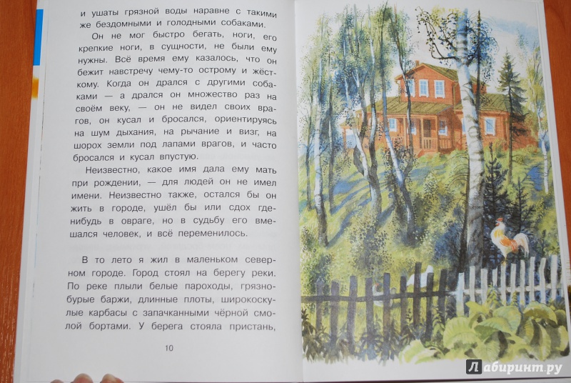 Иллюстрация 9 из 32 для Арктур - гончий пёс - Юрий Казаков | Лабиринт - книги. Источник: Нади