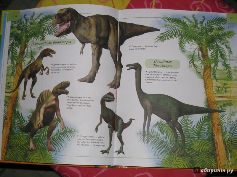 Иллюстрация 14 из 34 для Динозавры | Лабиринт - книги. Источник: vs