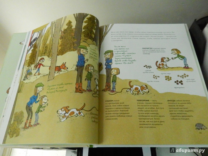 Иллюстрация 17 из 23 для Конюшня на Еловой горке. У Ани появился щенок - Реетта Ниемеля | Лабиринт - книги. Источник: dbyyb