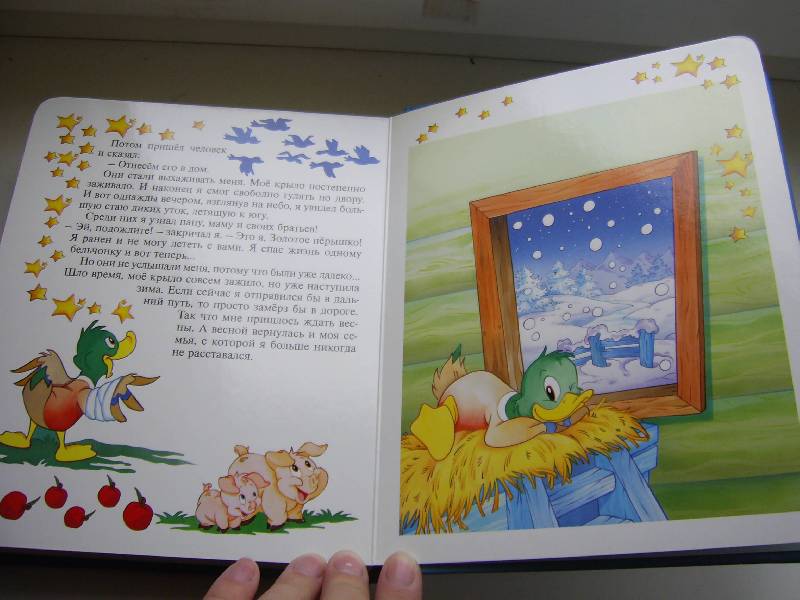 Иллюстрация 17 из 18 для Лесные сказки. Окошко в лес | Лабиринт - книги. Источник: Лилианна