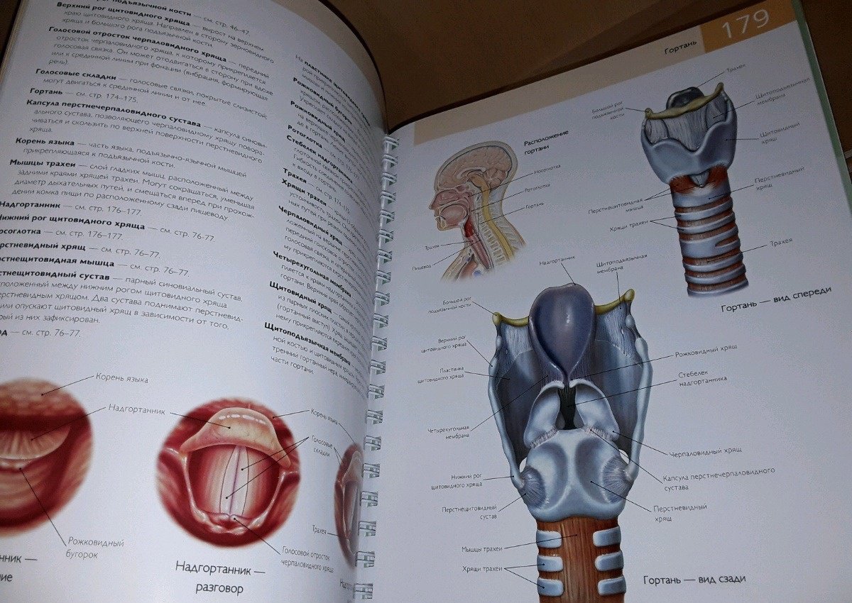 Иллюстрация 14 из 22 для Популярная анатомия человека. Подробное иллюстрированное руководство с тестами для самоконтроля - Кен Эшвелл | Лабиринт - книги. Источник: Космос