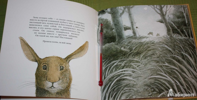 Иллюстрация 13 из 62 для Плюшевый заяц, или Как игрушки становятся настоящими - Марджери Уильямс | Лабиринт - книги. Источник: Михайлова Алексия
