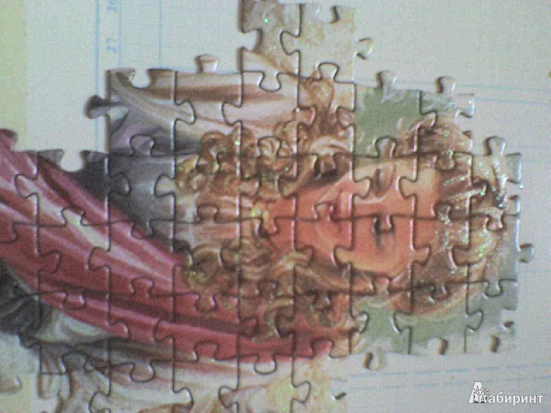 Иллюстрация 3 из 19 для Step Puzzle-1000 "Лебединое озеро" (79516) | Лабиринт - игрушки. Источник: Роза с шипами