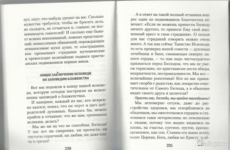 Иллюстрация 9 из 10 для Опыт построения исповеди - Иоанн Архимандрит | Лабиринт - книги. Источник: Granatka