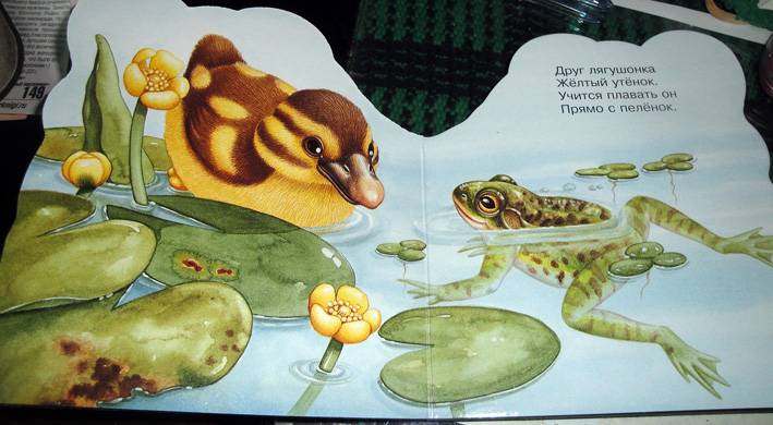 Иллюстрация 11 из 11 для Про лягушку. Зверята - В. Комаров | Лабиринт - книги. Источник: АннаЛ