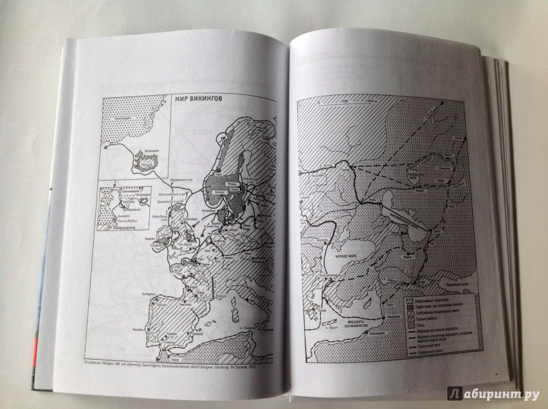Иллюстрация 27 из 38 для Викинги. История и цивилизация - Режи Буайе | Лабиринт - книги. Источник: Д