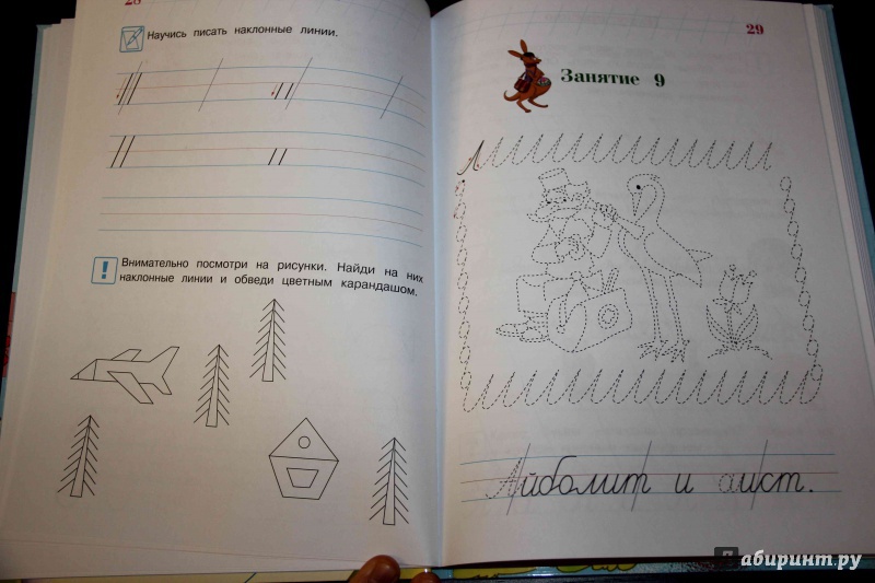 Иллюстрация 34 из 49 для Пишу красиво. Для детей 6-7 лет - Наталия Володина | Лабиринт - книги. Источник: Vilvarin  Laurea