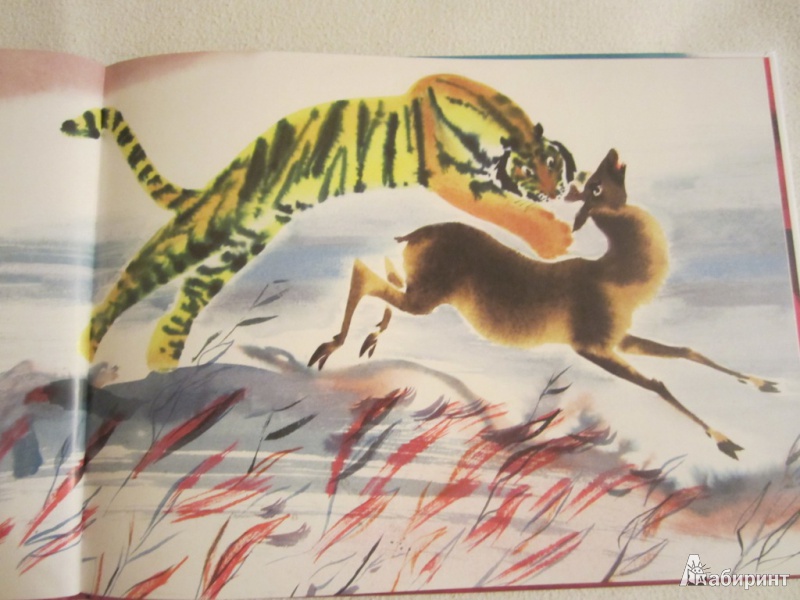 Иллюстрация 27 из 35 для Глупый тигр. Тибетская народная сказка | Лабиринт - книги. Источник: ЮлияО